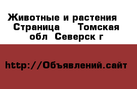  Животные и растения - Страница 5 . Томская обл.,Северск г.